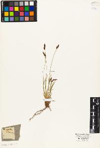 SW_BNB_s3010-04047_IMG-0000000001