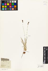 SW_BNB_s3010-04049_IMG-0000000001