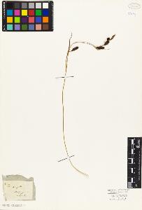 SW_BNB_s3010-04057_IMG-0000000001