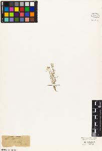 SW_BNB_s3010-04058_IMG-0000000001