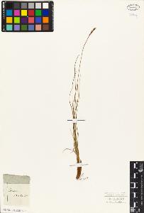 SW_BNB_s3010-04060_IMG-0000000001