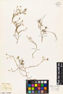 SW_BNB_s3010-04062_IMG-0000000001
