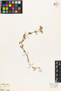 SW_BNB_s3010-04063_IMG-0000000001