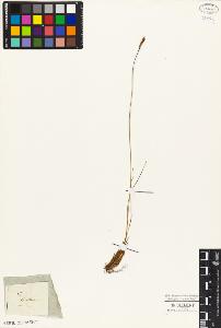 SW_BNB_s3010-04064_IMG-0000000001