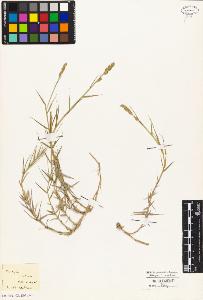 SW_BNB_s3010-04067_IMG-0000000001