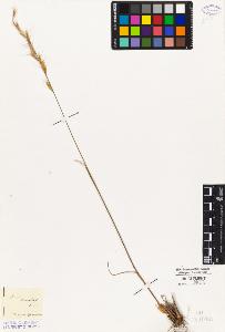 SW_BNB_s3010-04068_IMG-0000000001
