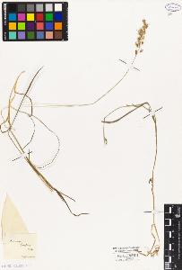 SW_BNB_s3010-04069_IMG-0000000001