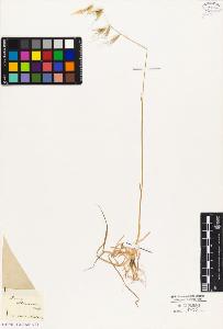 SW_BNB_s3010-04071_IMG-0000000001