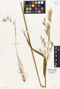 SW_BNB_s3010-04072_IMG-0000000001