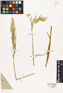 SW_BNB_s3010-04073_IMG-0000000001