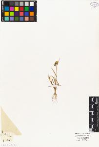 SW_BNB_s3010-04076_IMG-0000000001