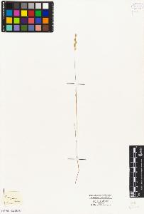 SW_BNB_s3010-04077_IMG-0000000001