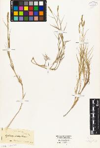 SW_BNB_s3010-04080_IMG-0000000001