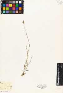 SW_BNB_s3010-04082_IMG-0000000001