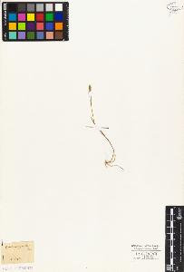 SW_BNB_s3010-04083_IMG-0000000001