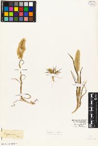 SW_BNB_s3010-04085_IMG-0000000001