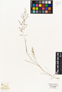 SW_BNB_s3010-04088_IMG-0000000001