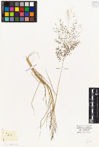 SW_BNB_s3010-04089_IMG-0000000001