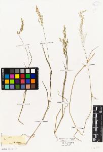 SW_BNB_s3010-04091_IMG-0000000001