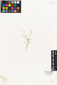 SW_BNB_s3010-04092_IMG-0000000001