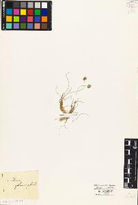 SW_BNB_s3010-04093_IMG-0000000001
