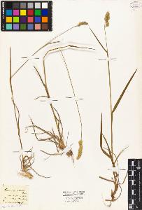 SW_BNB_s3010-04094_IMG-0000000001