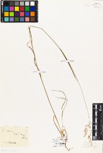 SW_BNB_s3010-04095_IMG-0000000001