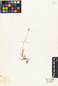 SW_BNB_s3010-04097_IMG-0000000001