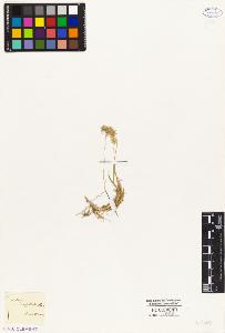 SW_BNB_s3010-04098_IMG-0000000001