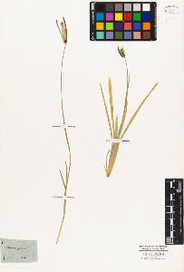 SW_BNB_s3010-04100_IMG-0000000001