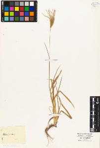 SW_BNB_s3010-04101_IMG-0000000001