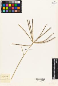SW_BNB_s3010-04102_IMG-0000000001