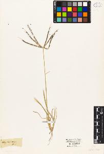 SW_BNB_s3010-04103_IMG-0000000001