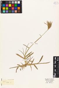 SW_BNB_s3010-04104_IMG-0000000001