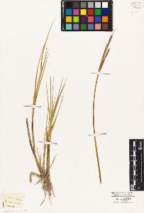 SW_BNB_s3010-04107_IMG-0000000001