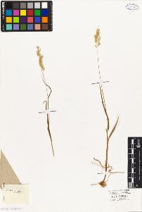 SW_BNB_s3010-04108_IMG-0000000001