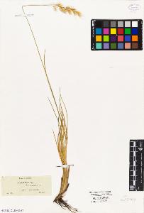 SW_BNB_s3010-04110_IMG-0000000001