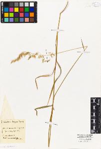SW_BNB_s3010-04112_IMG-0000000001