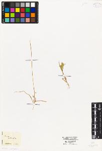 SW_BNB_s3010-04113_IMG-0000000001