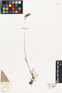 SW_BNB_s3010-04114_IMG-0000000001