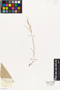SW_BNB_s3010-04116_IMG-0000000001