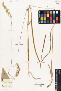 SW_BNB_s3010-04119_IMG-0000000001
