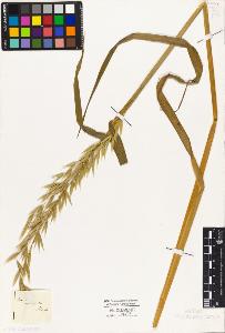 SW_BNB_s3010-04120_IMG-0000000001