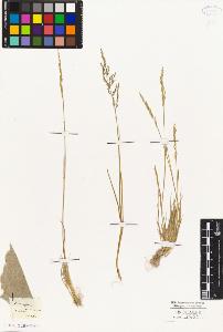 SW_BNB_s3010-04122_IMG-0000000001