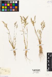 SW_BNB_s3010-04123_IMG-0000000001