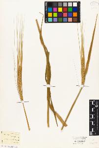 SW_BNB_s3010-04125_IMG-0000000001