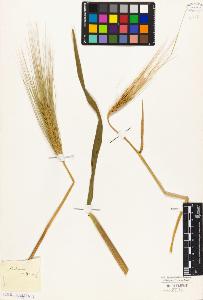 SW_BNB_s3010-04127_IMG-0000000001