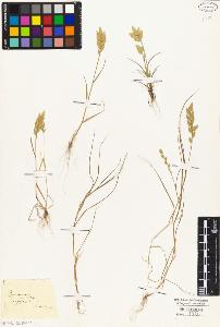 SW_BNB_s3010-04128_IMG-0000000001