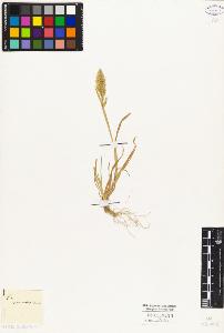 SW_BNB_s3010-04130_IMG-0000000001