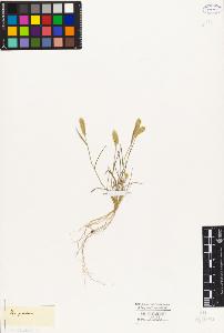 SW_BNB_s3010-04132_IMG-0000000001